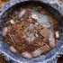 Milkback Isopods (Porcellio Laevis)
