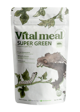Vital Meal Super Green with added Silkworms Gecko Food 50g